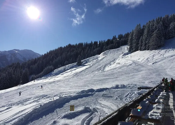 Appartement Gaestehaus Brix *